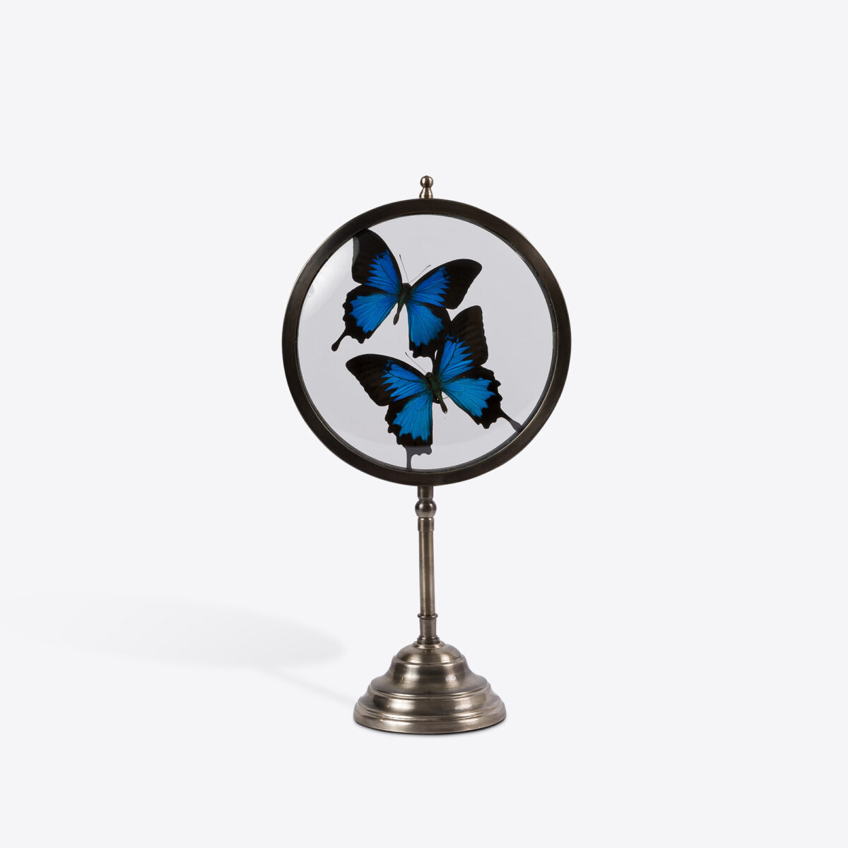 Medium Antiqued Nickel Butterfly Looking Glass